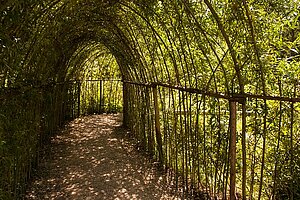 Das Waldlabyrinth im Walderlebnispfad Freising