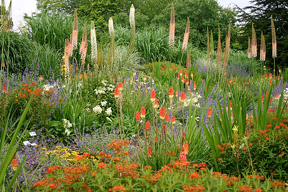 Der Kniphofienhang im Staudensichtungsgarten Weihenstephan im Frühjahr.