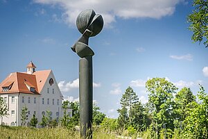 Grosse Flora - Fritz König 