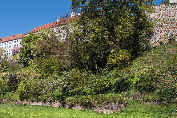 Südhang des Freisinger Dombergs. (Foto: MASELL)