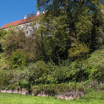 Southern slope of the Freisinger Domberg. (Photo: MASELL) Südhang des Freisinger Dombergs. (Foto: MASELL)