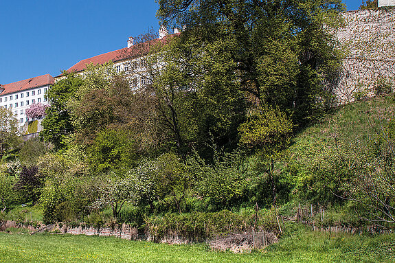 Southern slope of the Freisinger Domberg. (Photo: MASELL) Südhang des Freisinger Dombergs. (Foto: MASELL)