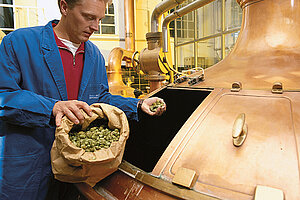 Traditional breweries