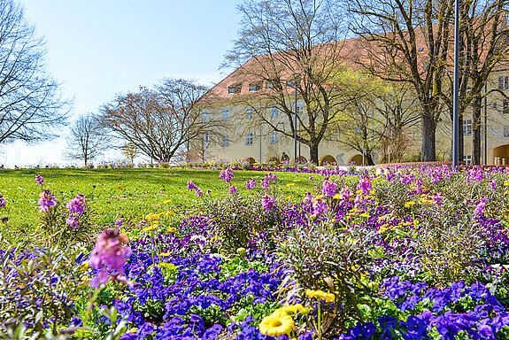 Frühlingsstimmung im Hofgarten. (Stadt Freising)