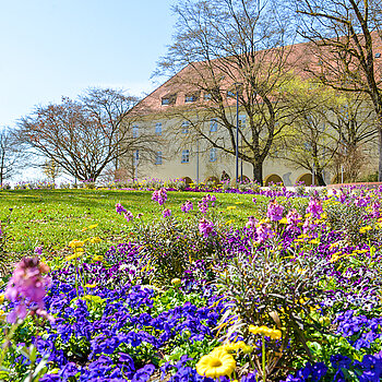 Frühlingsstimmung im Hofgarten. (Stadt Freising)