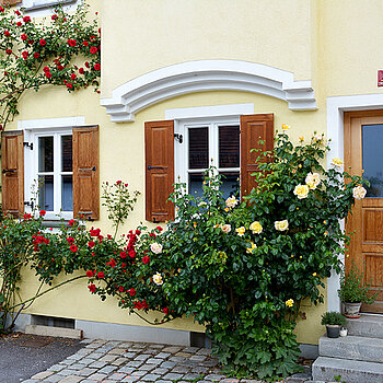 Roses at a residential building in Mittlerer Graben. (Photo: ski)