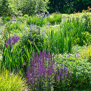 Play of colours in the perennial viewing garden. (Photo: Sabina Kirchmaier) Farbenspiel im Staudensichtungsgarten. (Foto: Sabina Kirchmaier)