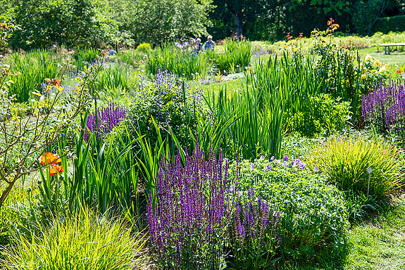Play of colours in the perennial viewing garden. (Photo: Sabina Kirchmaier) Farbenspiel im Staudensichtungsgarten. (Foto: Sabina Kirchmaier)