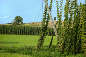Gateway to the Hallertau