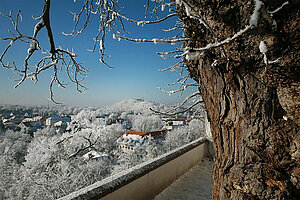 Ob sich Freising im Schnee präsentiert, wie hier auf dem Foto mit der Aussicht vom Belvedere am Domberg, ist nicht garantiert - stimmungsvoll wird es bei der Führung allemal. (Foto: Herbert Bungartz)