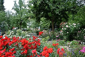 Gartenträume
