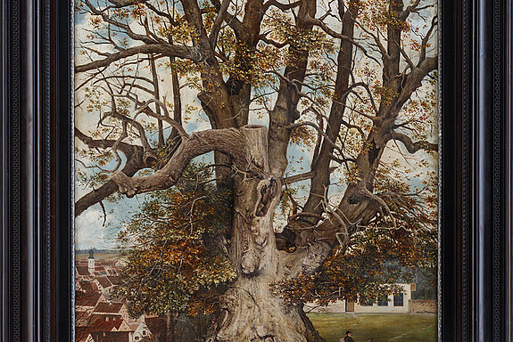 Historical picture of the Korbinian lime tree. Historische Abbildung der Korbinianslinde.