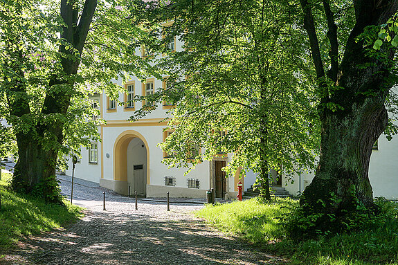 Avenue of lime trees on the Domberg. (Photo: Herbst Bungartz) Lindenallee am Domberg. (Foto: Herbst Bungartz)
