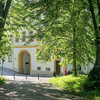 Avenue of lime trees on the Domberg. (Photo: Herbst Bungartz) Lindenallee am Domberg. (Foto: Herbst Bungartz)
