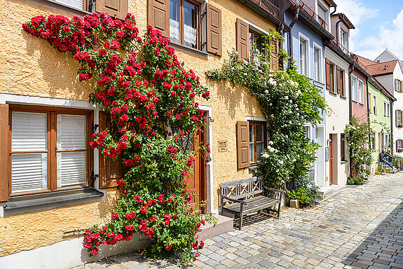 Façade decoration: roses in the Mittlerer Graben. (Photo: ski)