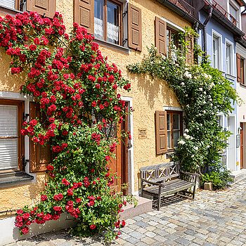 Façade decoration: roses in the Mittlerer Graben. (Photo: ski)