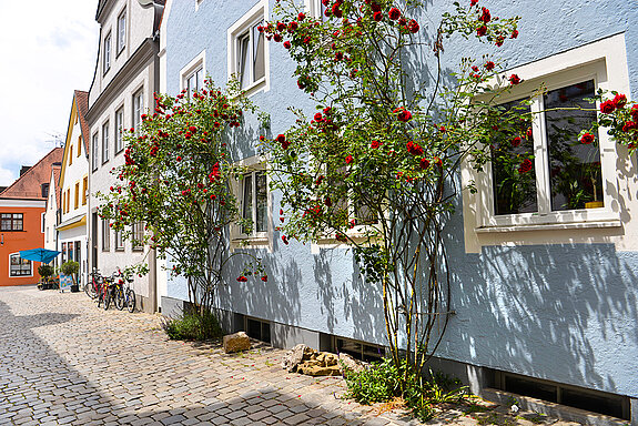 Roses entwine around a house in Kirchgasse. (Photo: ski)