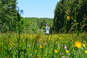 Der Weltwald Freising bietet viele lauschige Plätze und Ziele für einen romantischen Spaziergang. 