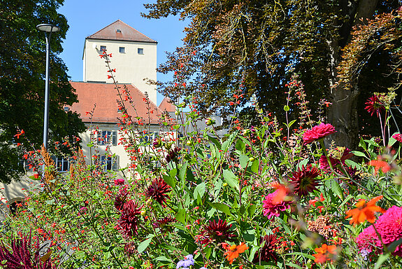 Blühender Hofgarten im September. (Stadt Freising)