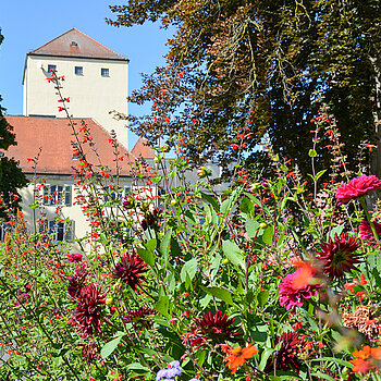 Blühender Hofgarten im September. (Stadt Freising)