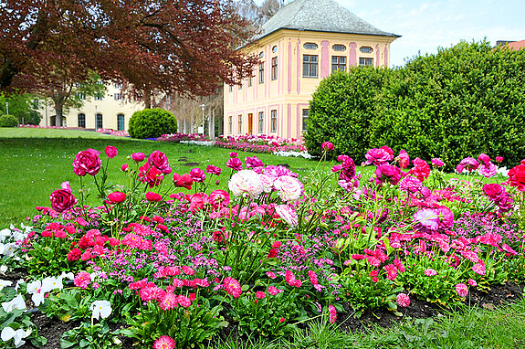Hofgarten Weihenstephan im Wechselflor, Frühling. (Stadt Freising)