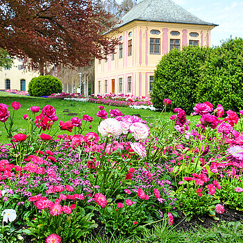 Hofgarten Weihenstephan im Wechselflor, Frühling. (Stadt Freising)
