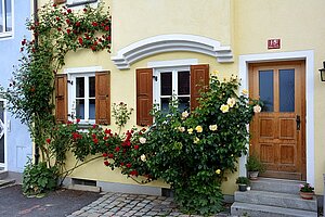 Roses at a house in Mittlerer Graben