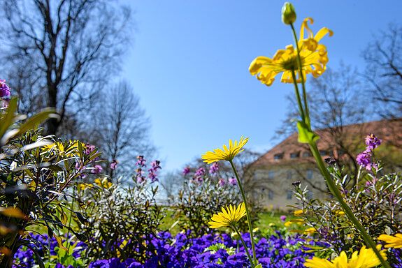 Frühlingsflor im Hofgarten. (Stadt Freising)