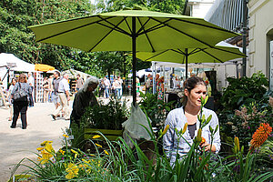 Der beliebte Johannismarkt auf dem Freigelände des Schafhofs Freising öffnet am Wochenende 24./25. Juni 2023 seine Pforten.